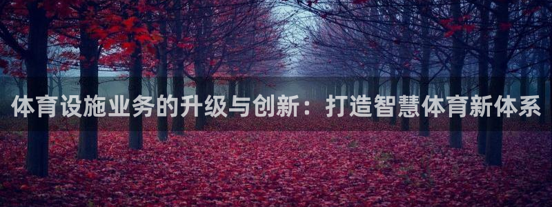 注册意昂4：体育设施业务的升级与创新：打造智慧体育新