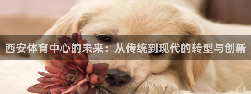 意昂4官网：西安体育中心的未来：从传统到现代的转型与