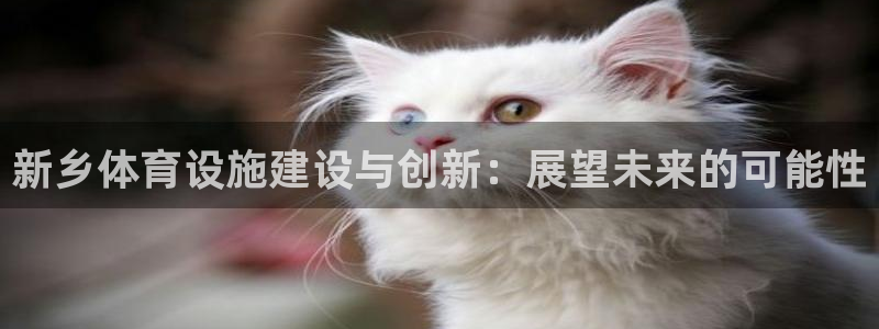 意昂体育4：新乡体育设施建设与创新：展望未来的可能性
