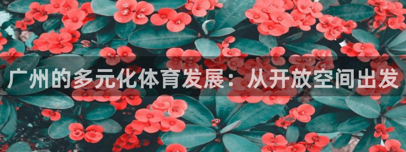 意昂体育4招商电话号码是多少：广州的多元化体育发展：