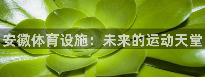 意昂平台体育：安徽体育设施：未来的运动天堂