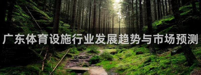 意昂4新能源：广东体育设施行业发展趋势与市场预测