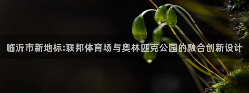 意昂4科技：临沂市新地标:联邦体育场与奥林匹克公园的