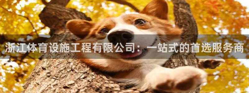 意昂4集团官网首页：浙江体育设施工程有限公司：一站式