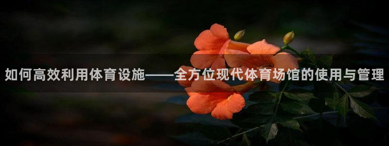 意昂4集团logo：如何高效利用体育设施——全方位现