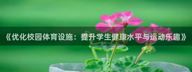 意昂4娱乐40996：《优化校园体育设施：提升学生健