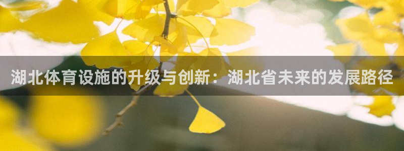 意昂4集团官网首页网址：湖北体育设施的升级与创新：湖