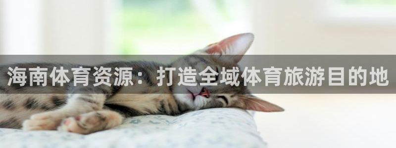 意昂体育4招商电话号码是多少号：海南体育资源：打造全