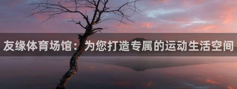 意昂4娱乐平台：友缘体育场馆：为您打造专属的运动生活
