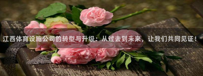 意昂体育4招商电话是多少：江西体育设施公司的转型与升