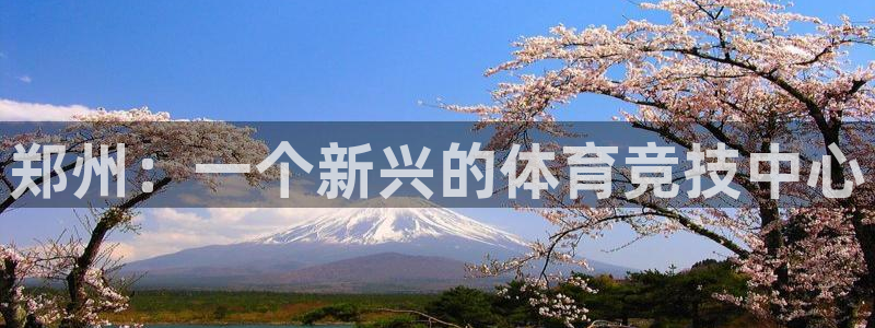 意昂4新能源：郑州：一个新兴的体育竞技中心