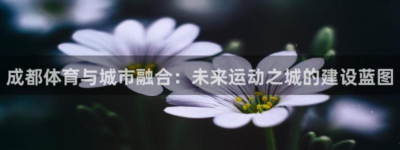 意昂体育4平台：成都体育与城市融合：未来运动之城的建
