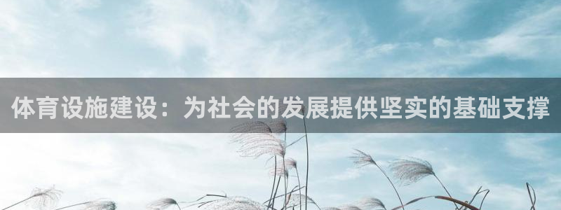 意昂4集团logo：体育设施建设：为社会的发展提供坚