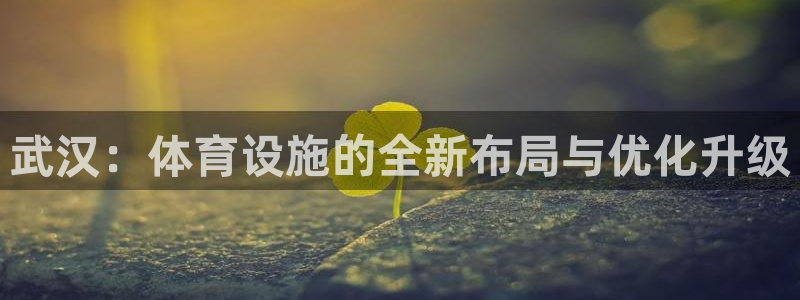意昂4科技：武汉：体育设施的全新布局与优化升级