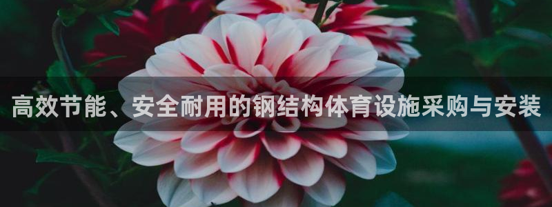 意昂4五金厂：高效节能、安全耐用的钢结构体育设施采购
