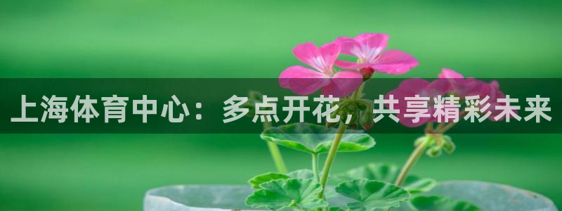 意昂体育4招商电话是多少：上海体育中心：多点开花，共