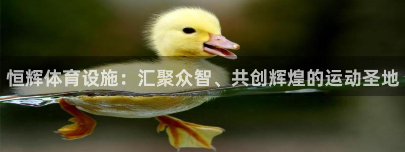 意昂4娱乐：恒辉体育设施：汇聚众智、共创辉煌的运动圣