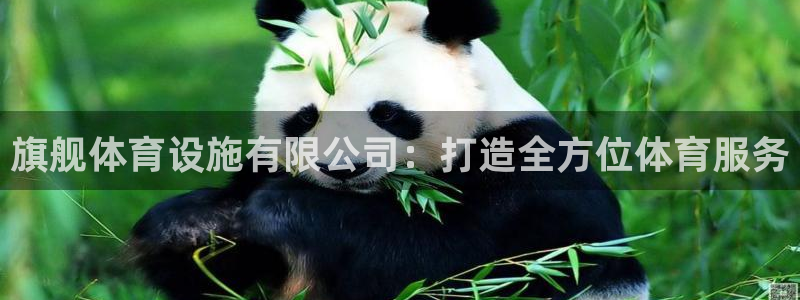 意昂体育4开户：旗舰体育设施有限公司：打造全方位体育
