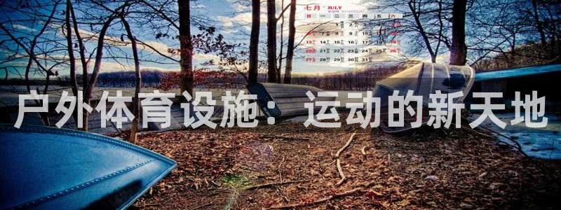 意昂体育4招商电话是多少：户外体育设施：运动的新天地