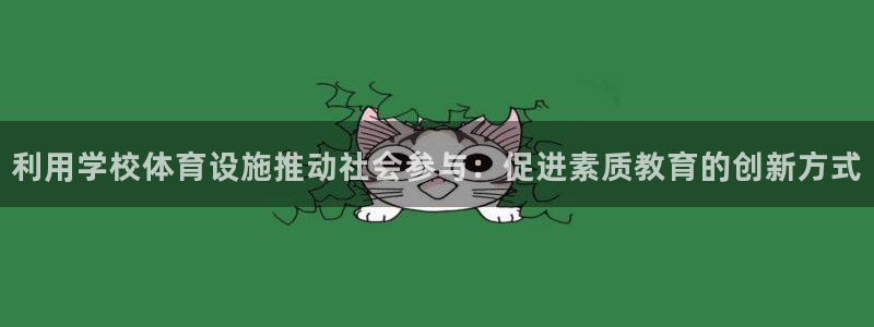 意昂体育4招商电话：利用学校体育设施推动社会参与：促
