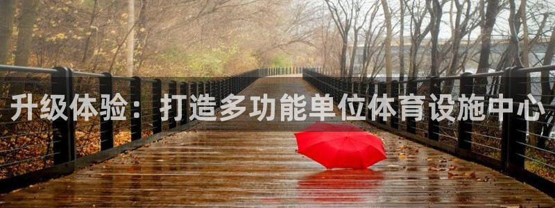 意昂体育4招商：升级体验：打造多功能单位体育设施中心