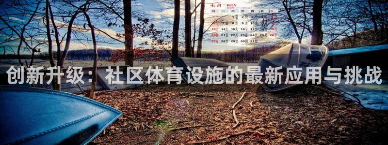 意昂体育4平台注册要钱吗安全吗：创新升级：社区体育设