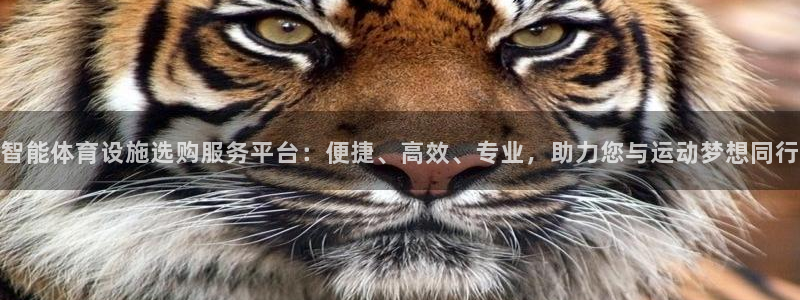 意昂体育4招商电话是多少号码：智能体育设施选购服务平