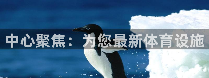 意昂4五金厂：中心聚焦：为您最新体育设施
