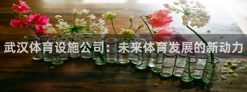 意昂平台体育：武汉体育设施公司：未来体育发展的新动力