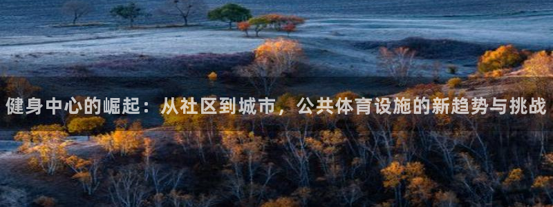 意昂体育4平台：健身中心的崛起：从社区到城市，公共体