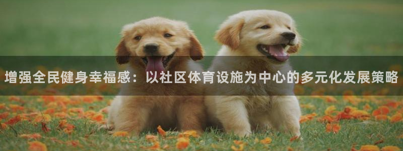 德国意昂4集团：增强全民健身幸福感：以社区体育设施为