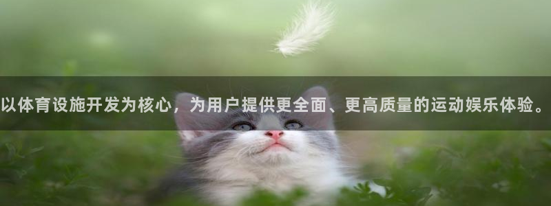 意昂体育4招商电话地址：以体育设施开发为核心，为用户
