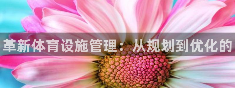 意昂4集团官网网址：革新体育设施管理：从规划到优化的