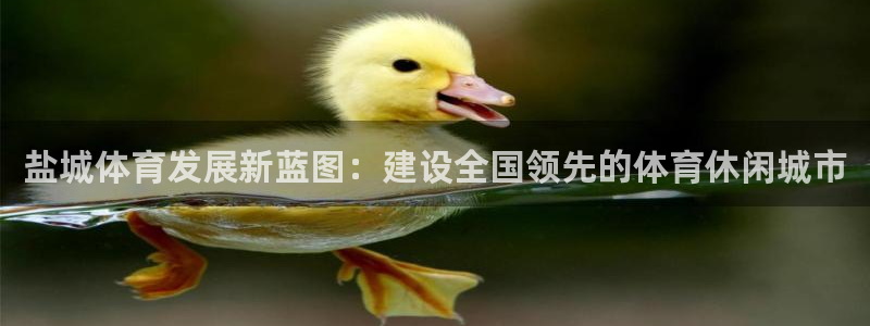 意昂4集团logo：盐城体育发展新蓝图：建设全国领先