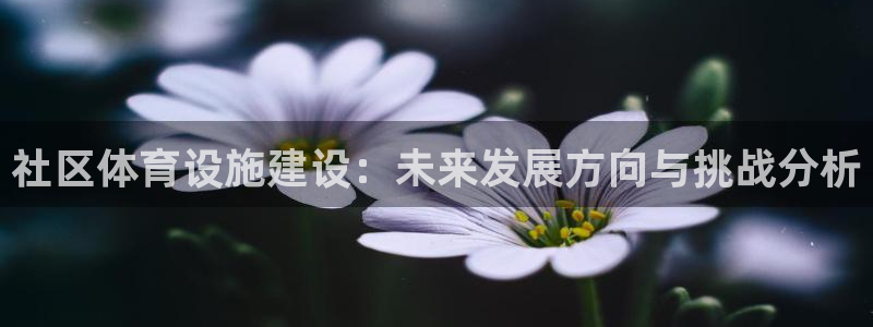 意昂体育4招商电话号码：社区体育设施建设：未来发展方