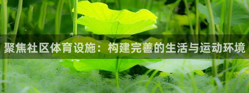 意昂体育4招商电话是多少：聚焦社区体育设施：构建完善