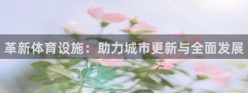 意昂体育4是干嘛的公司：革新体育设施：助力城市更新与