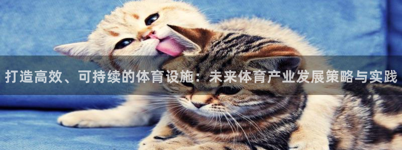 意昂4开户：打造高效、可持续的体育设施：未来体育产业
