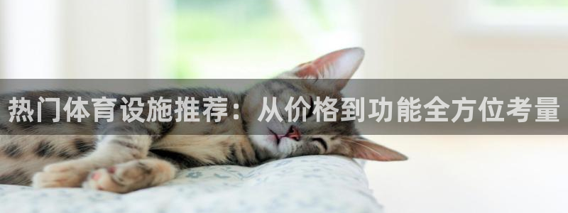 意昂体育4平台注册要钱吗：热门体育设施推荐：从价格到