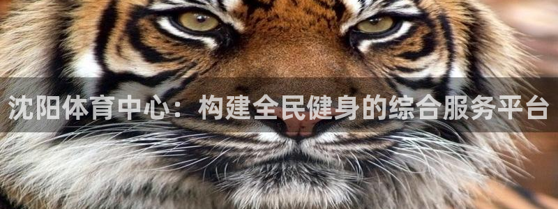 意昂体育4招商电话：沈阳体育中心：构建全民健身的综合