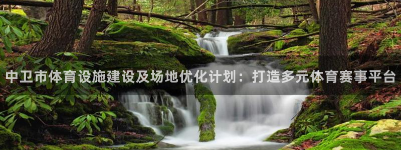 意昂体育4招商电话是多少号码：中卫市体育设施建设及场