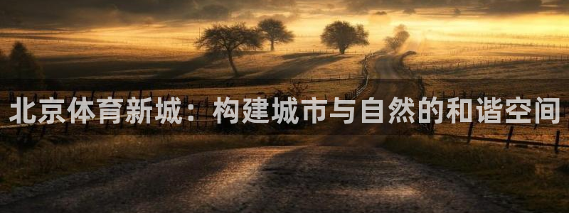 意昂体育4平台是正规平台吗安全吗：北京体育新城：构建