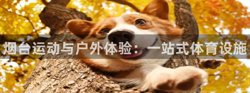 意昂体育4官方客服电话：烟台运动与户外体验：一站式体