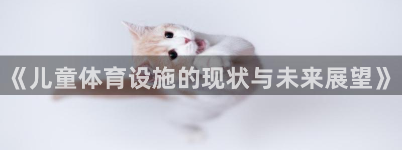 意昂体育4平台是正规平台吗：《儿童体育设施的现状与未