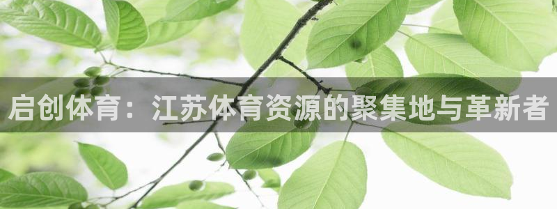 意昂体育4招商电话号码是多少：启创体育：江苏体育资源