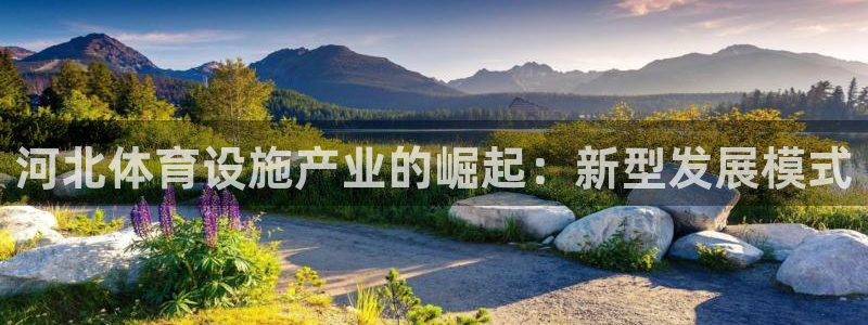意昂4官网：河北体育设施产业的崛起：新型发展模式