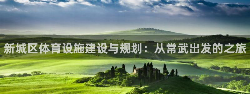 意昂体育4是干嘛的公司：新城区体育设施建设与规划：从