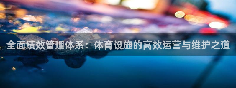 意昂4集团E.ON：全面绩效管理体系：体育设施的高效