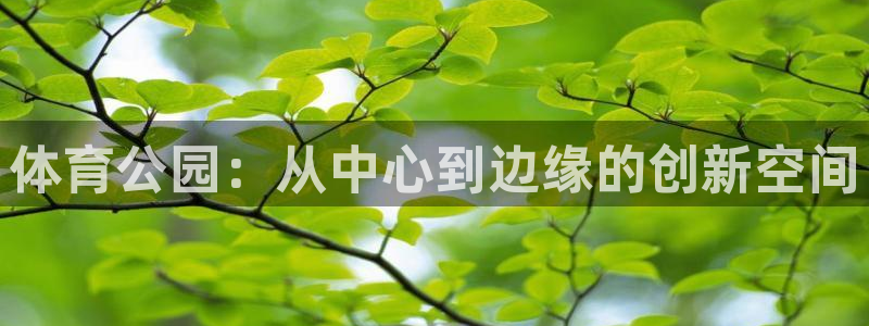 意昂4新能源
