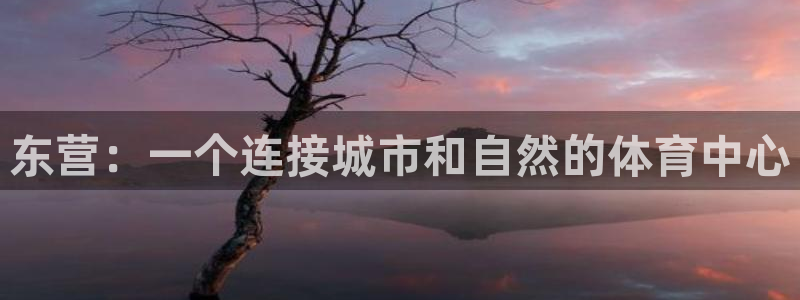 意昂体育4平台假的吗是真的吗：东营：一个连接城市和自